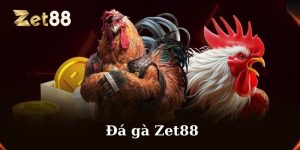 Đá gà Zet88