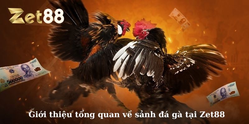 Đá gà Zet88